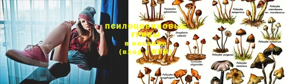 герыч Белокуриха