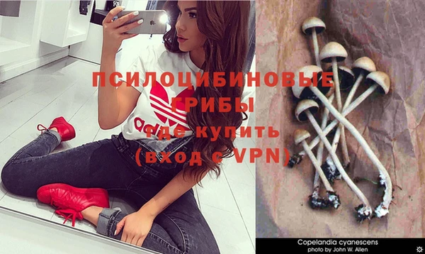 прущая мука Белоозёрский
