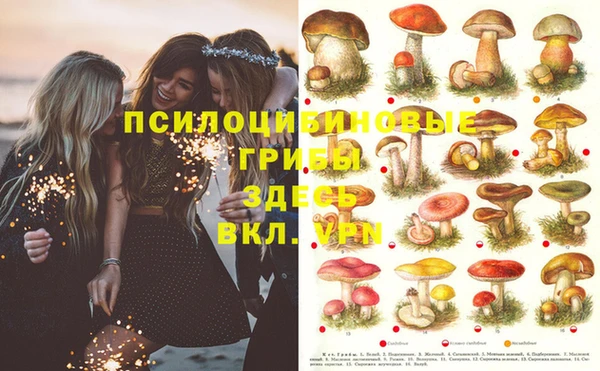 кокс Бугульма